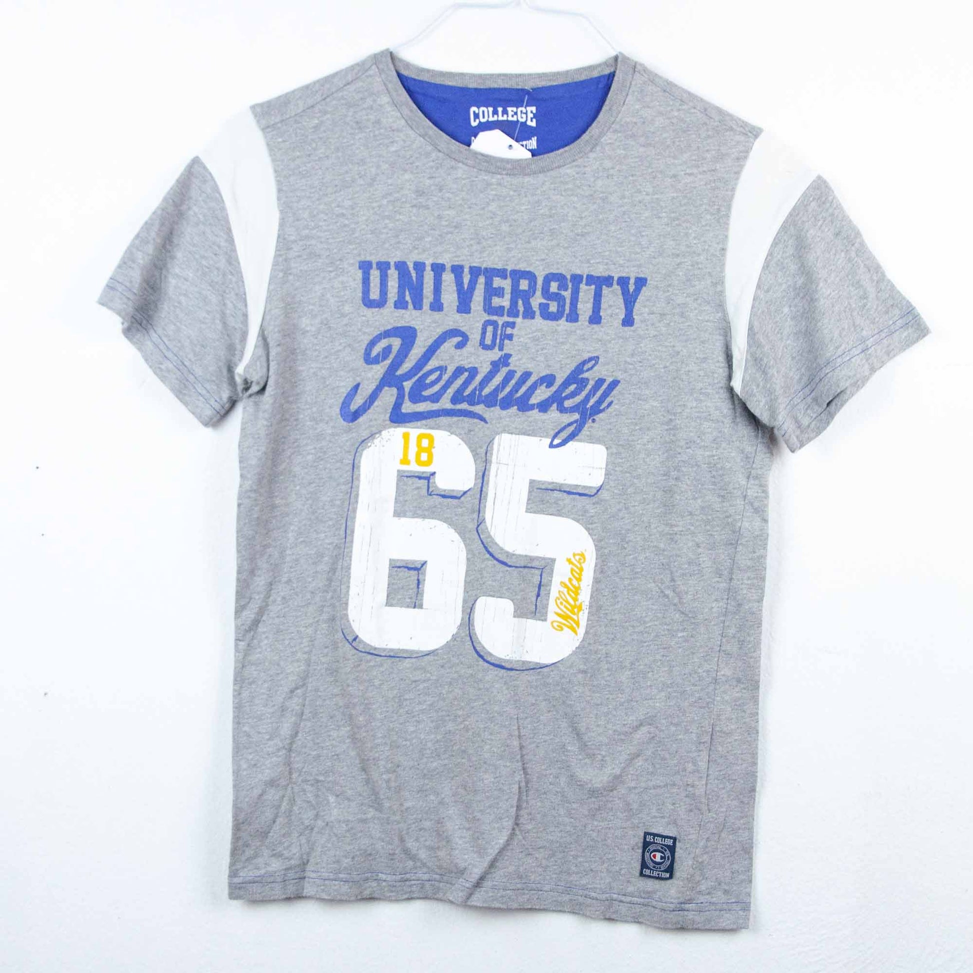 VIN-TEE-16602 Vintage t-shirt κολεγιακό print Champion unisex S